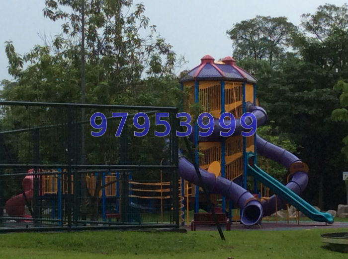 Blk 453 Choa Chu Kang Avenue 4 (Choa Chu Kang), HDB Executive #19666322